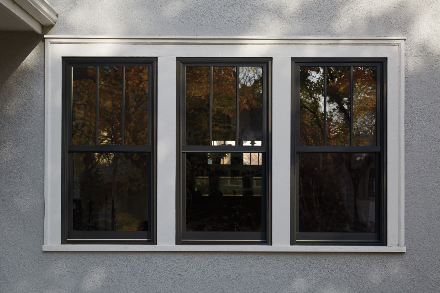 window replacement near me Fox Lake
